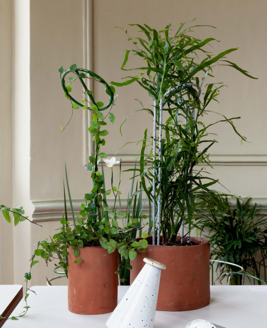 LIANAS at Abierto Mexicano de Diseño in Mexico&nbsp;City